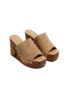 CLOG TARSILA